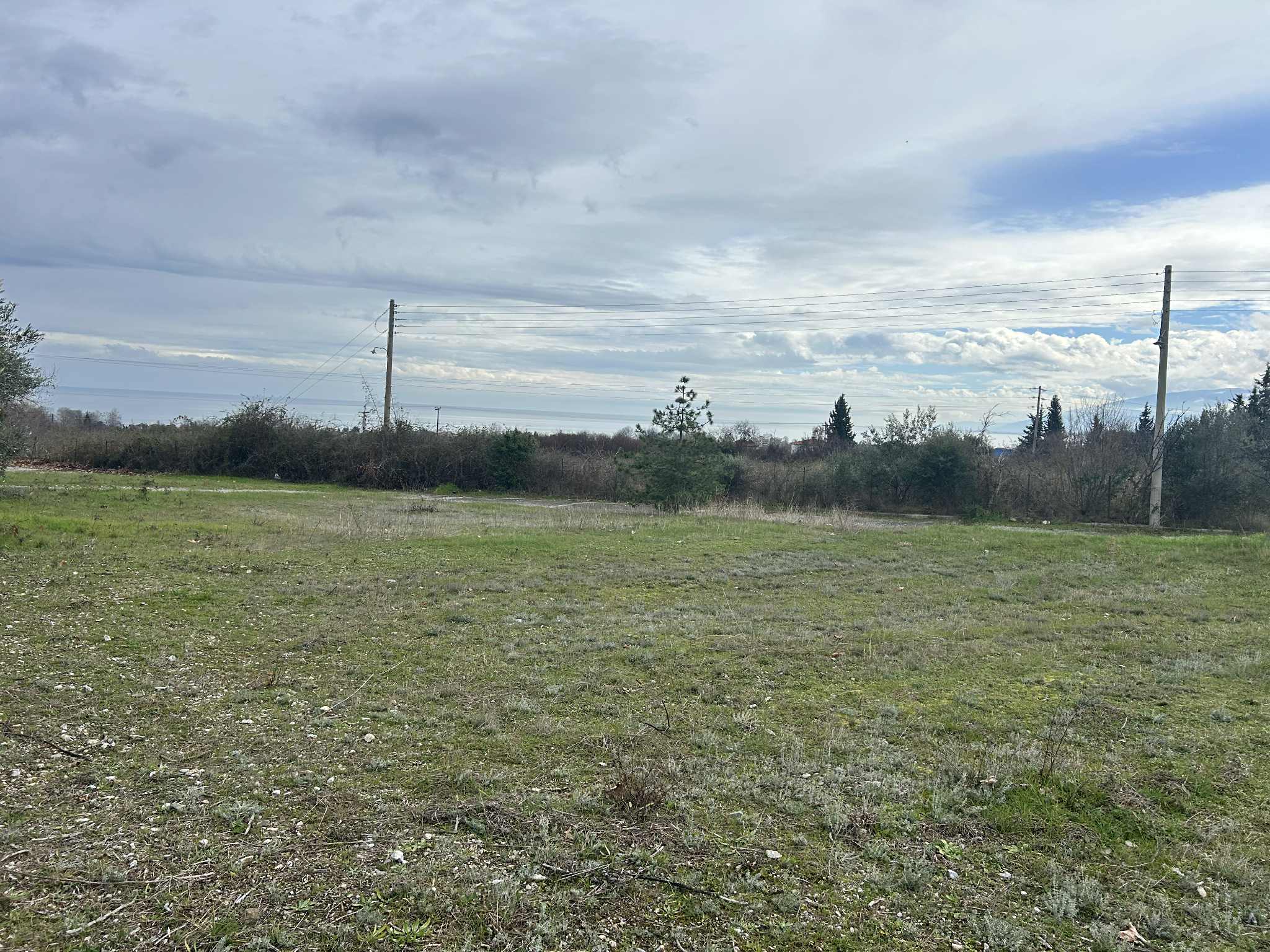 Λεπτοκαρυά, ,Οικόπεδο,Πώληση,1402