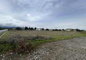 Λεπτοκαρυά, ,Οικόπεδο,Πώληση,1402