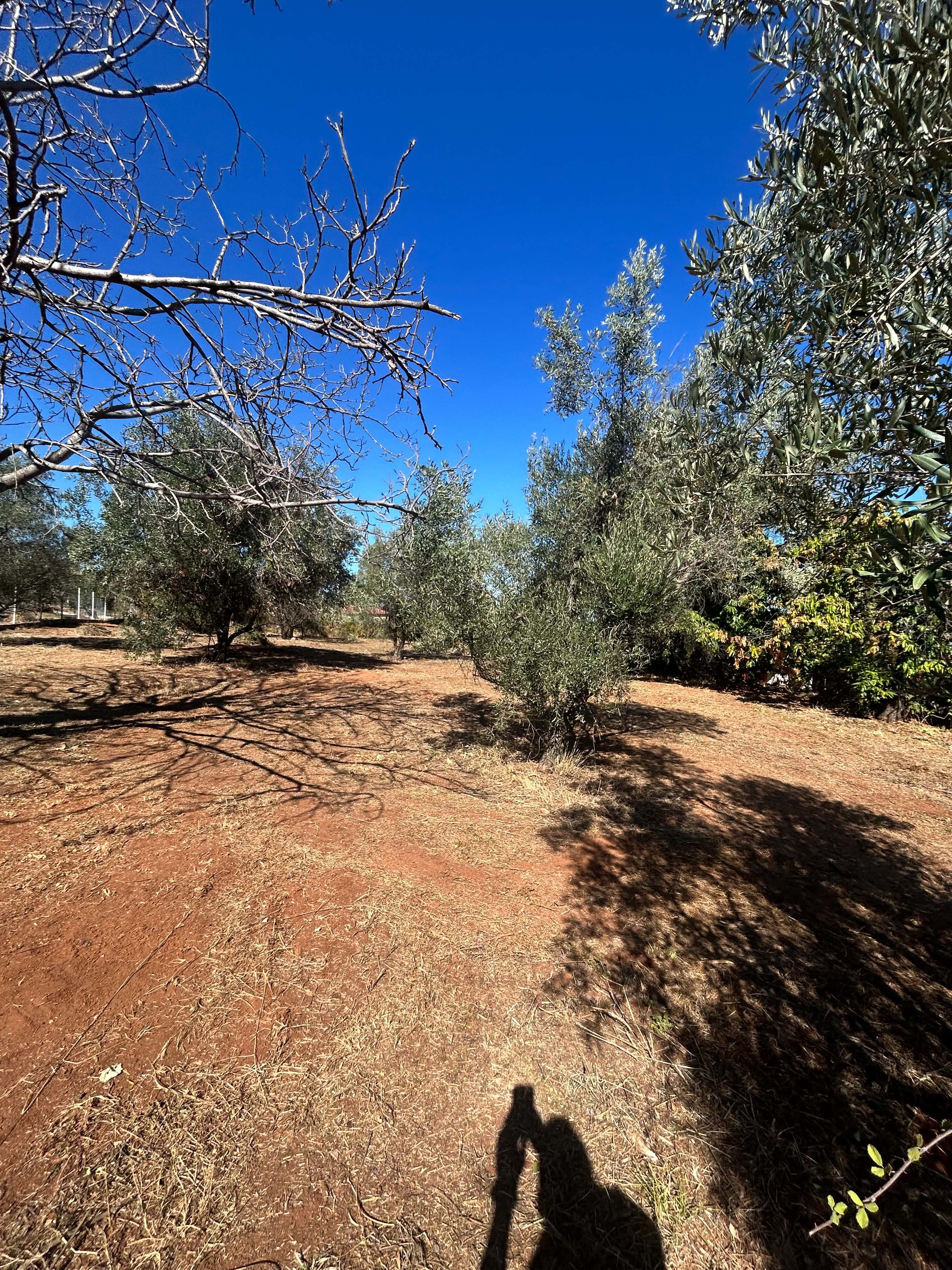 Λιτόχωρο, ,Αγροτεμάτχιο,Πώληση,874252