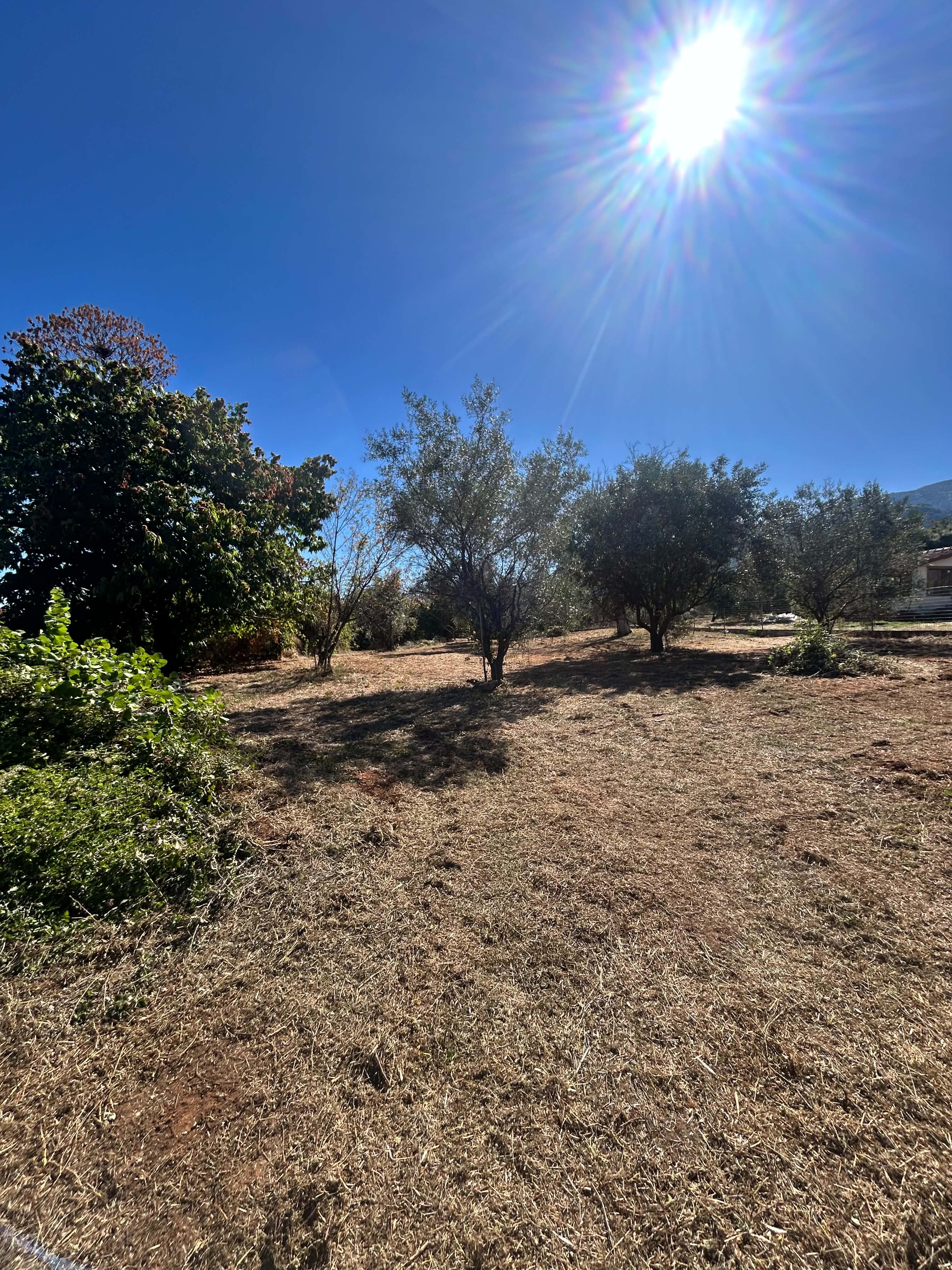 Λιτόχωρο, ,Αγροτεμάτχιο,Πώληση,874252