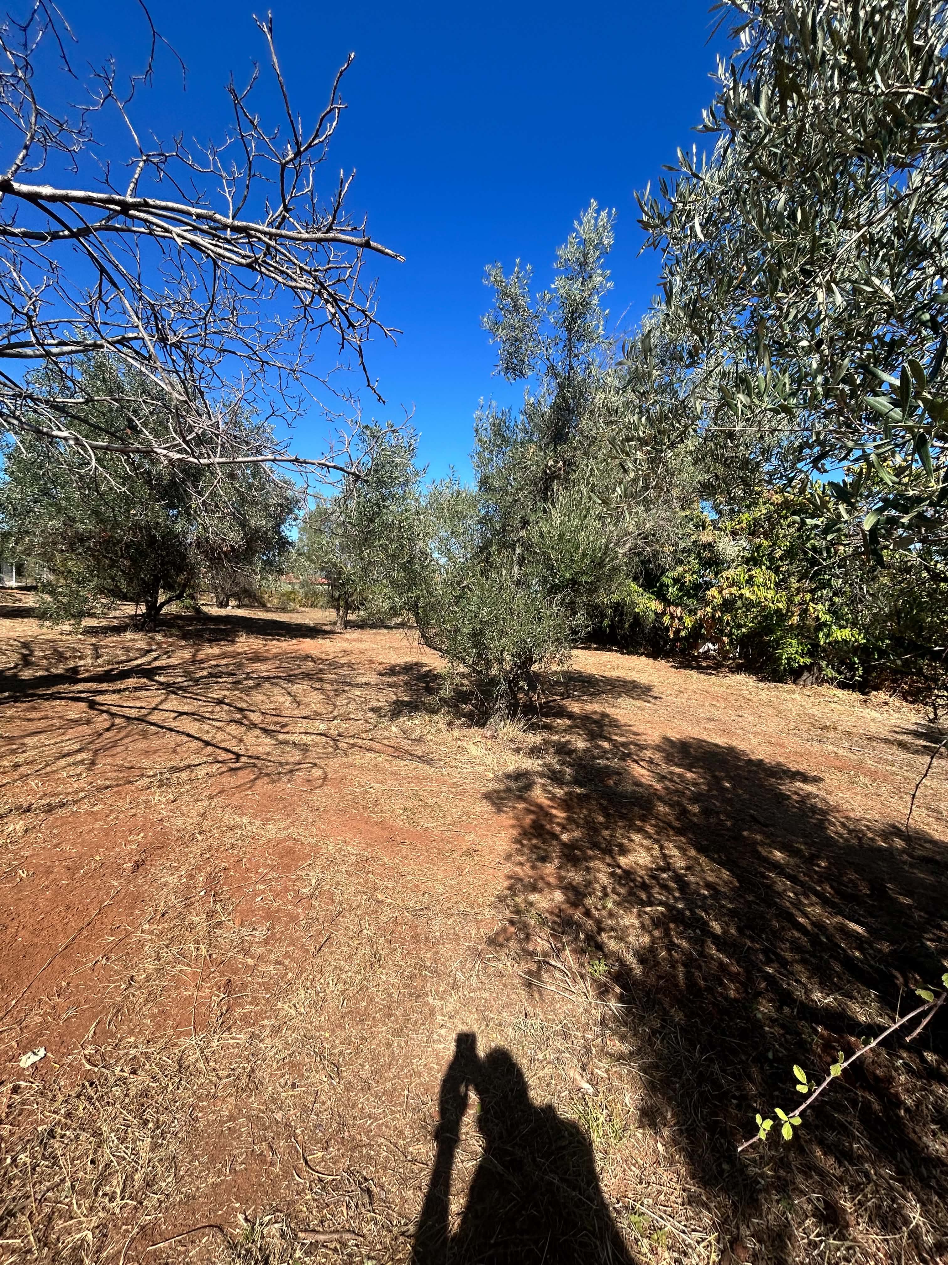 Λιτόχωρο, ,Αγροτεμάτχιο,Πώληση,874252