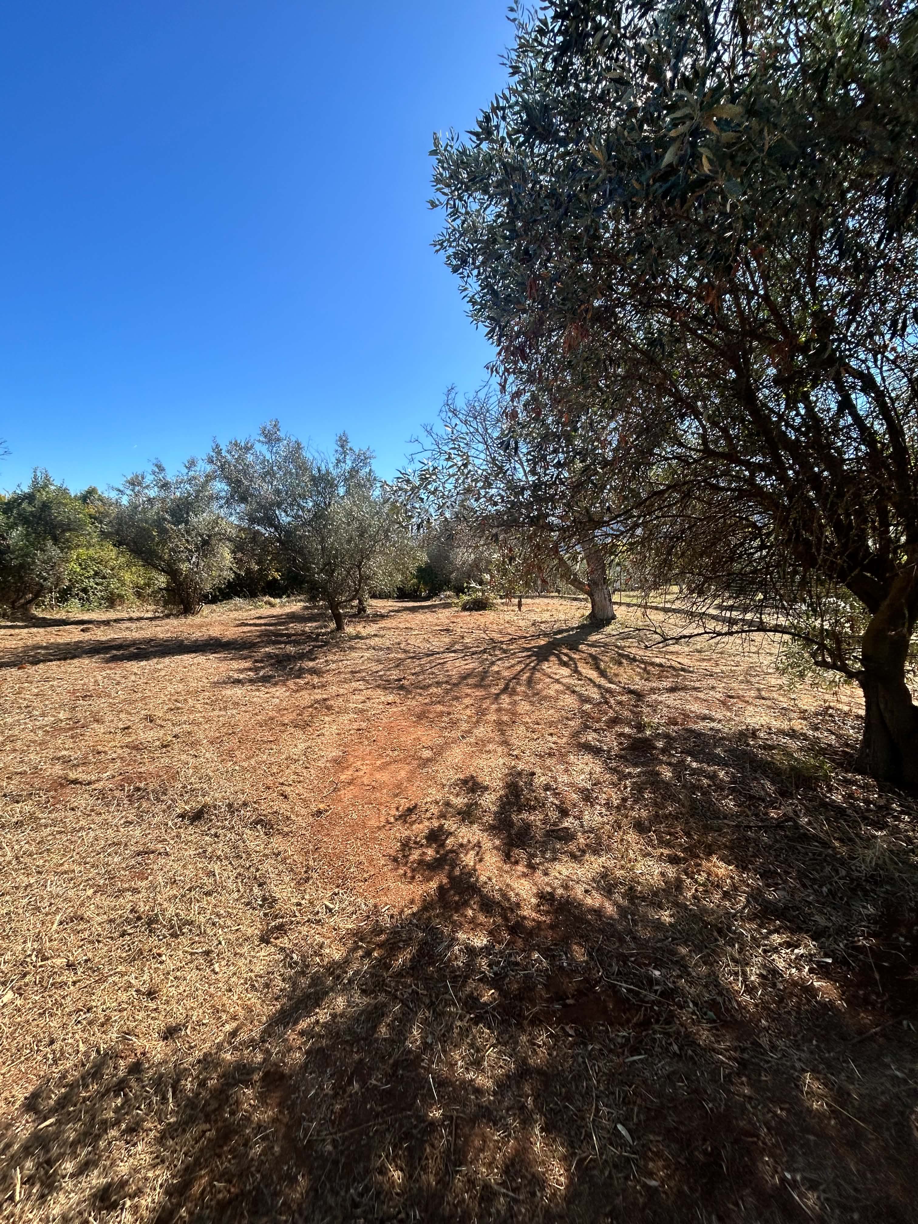 Λιτόχωρο, ,Αγροτεμάτχιο,Πώληση,874252