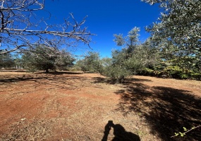 Λιτόχωρο, ,Αγροτεμάτχιο,Πώληση,874252